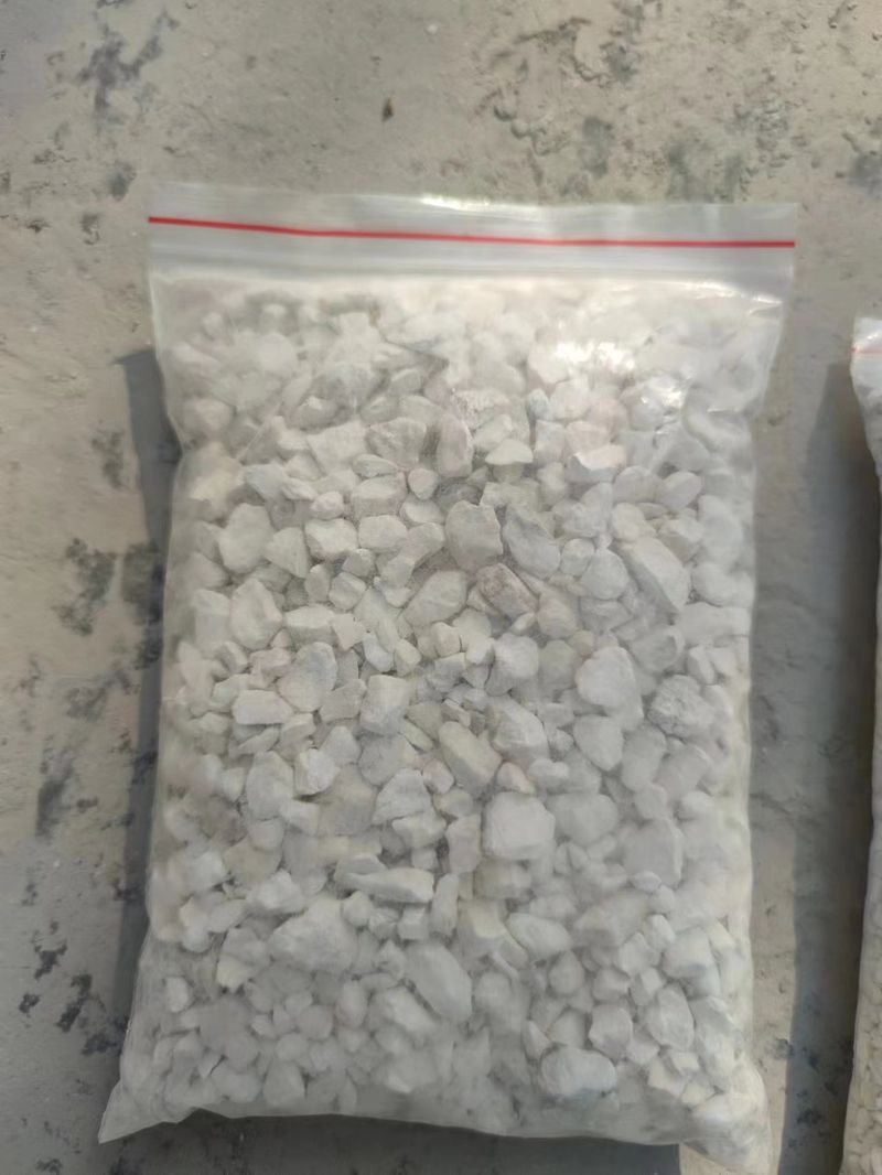 微信圖片_20230627165258